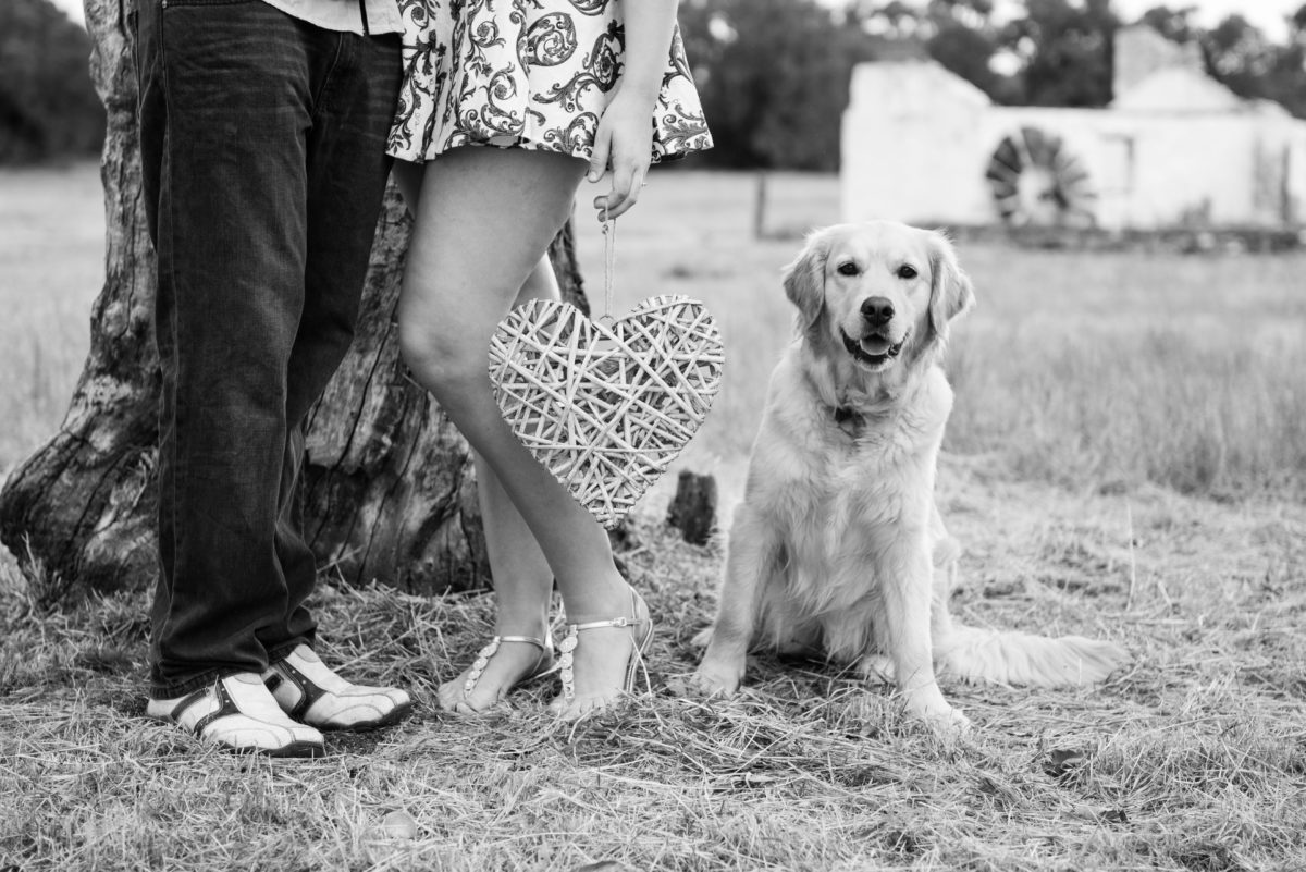 Lower half of engaged couple with their dog holding a wicker cane heart