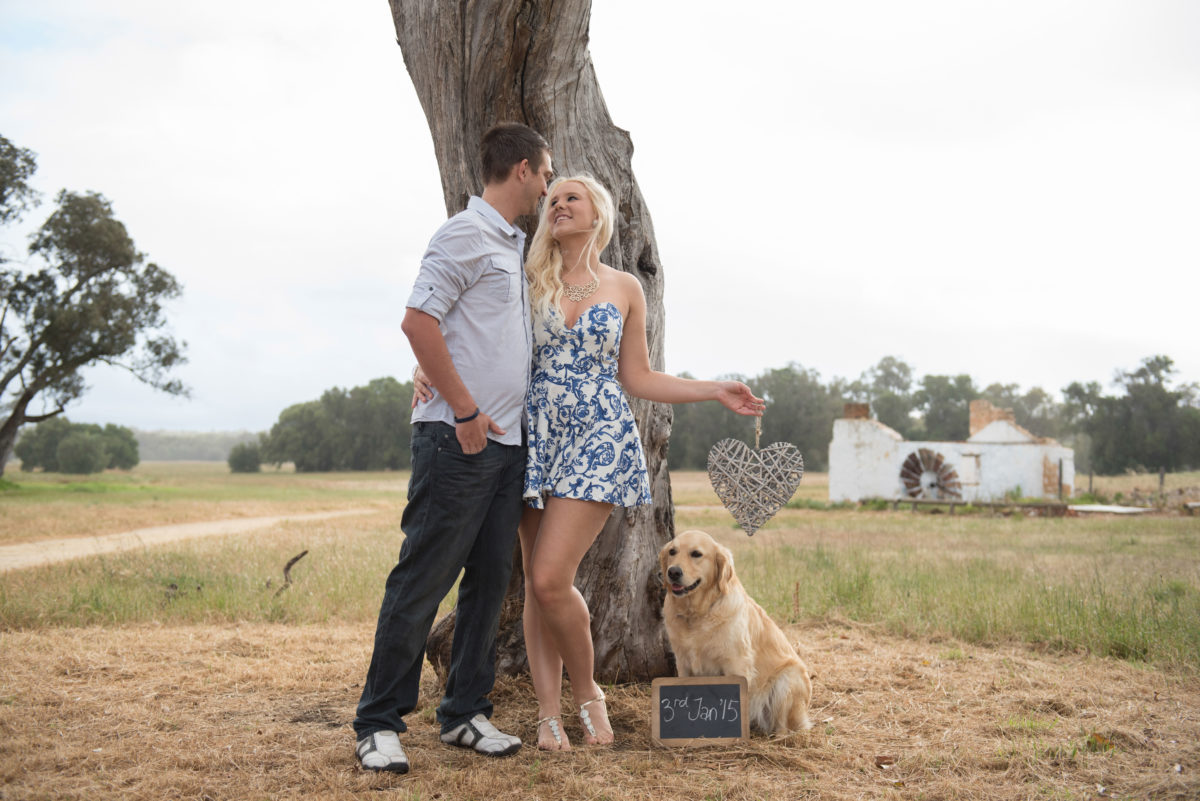 Save the date photo perry's paddock with a dog