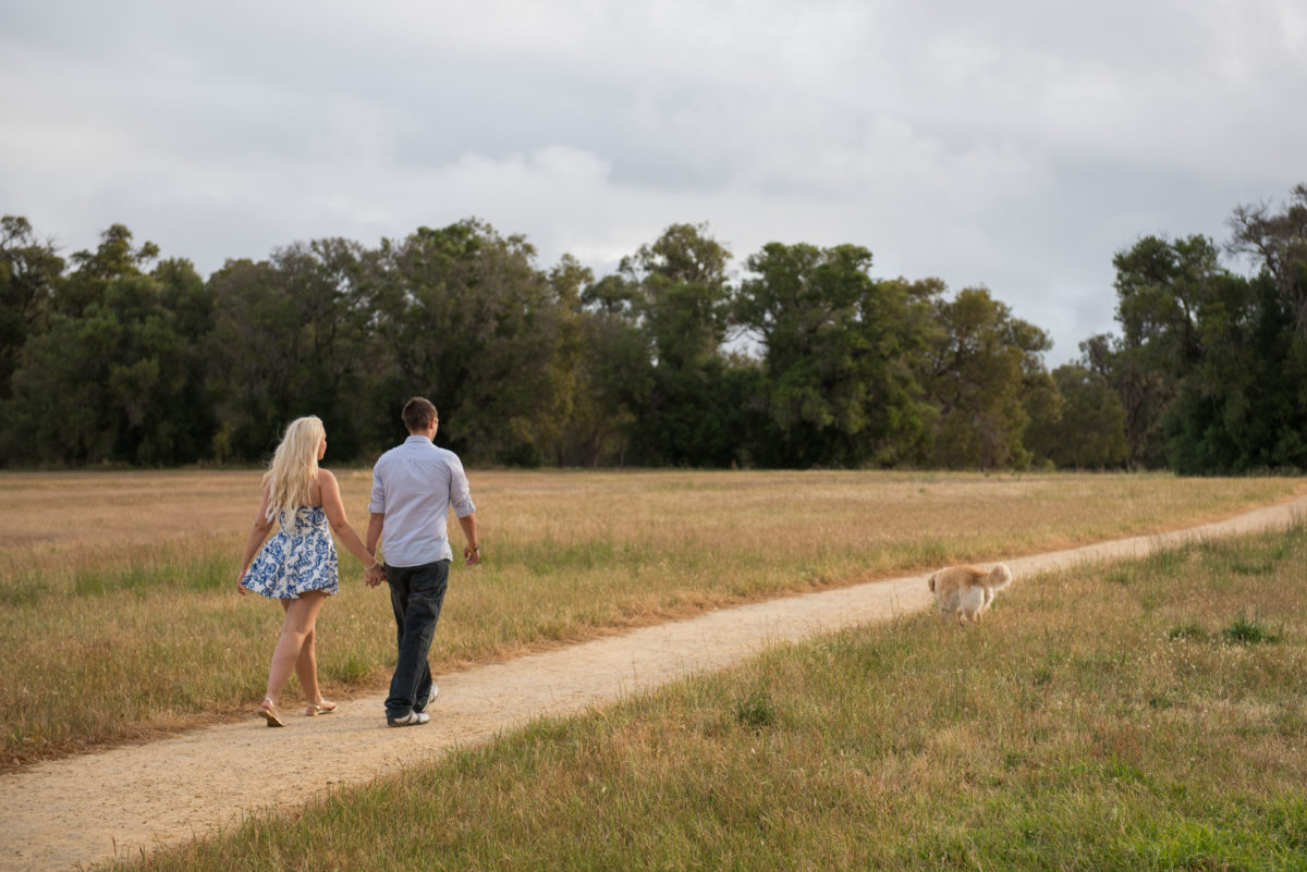 Engaged couple walking along path in evening light with a dog