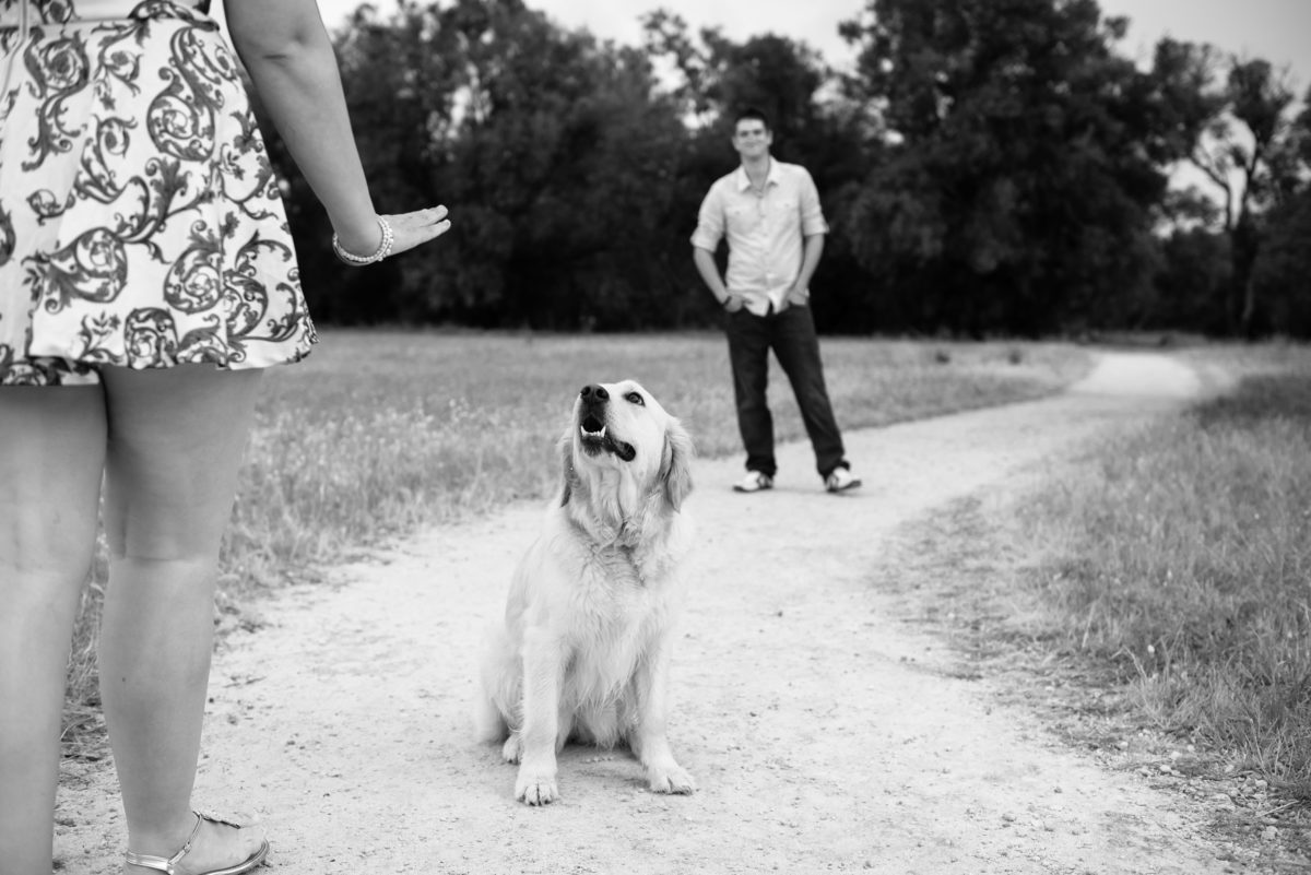 Girl telling labrador dog to stop