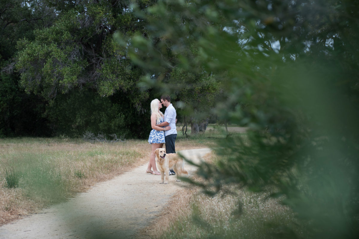 Couple hugging on a path with their dog