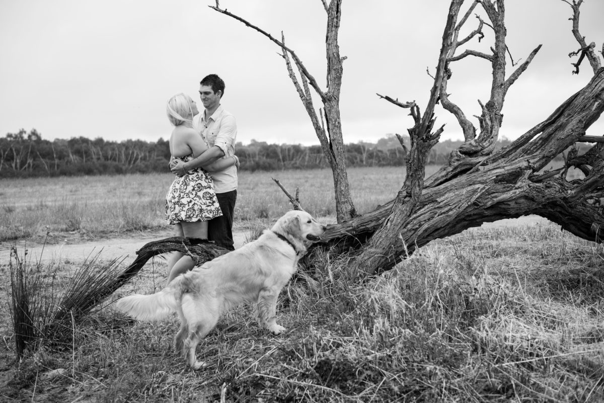 Couple hugging next to dead fallen tree with their dog