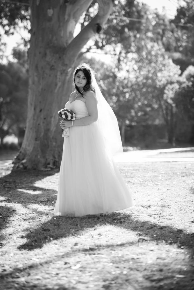 Black and white photo of bride in wedding dress. Looking away from camera. Sun glowing through veil. Serene.