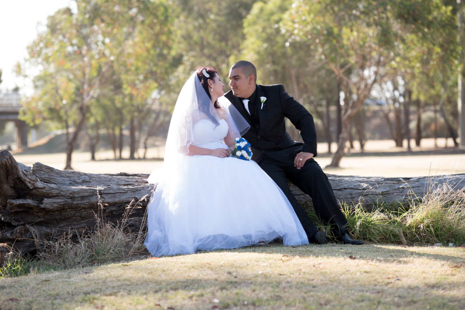 Bride and groom sitting on a log looking at each other. Beautiful light coming from behind. Native bushland setting