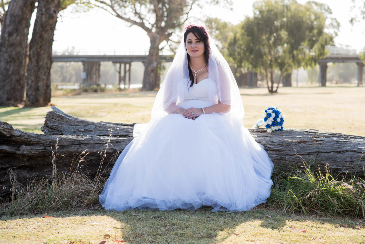 Bride sitting on a log serenely smiling at the camera with her hands in her lap. Bouquet resting on the log. Sun glowing through the veil