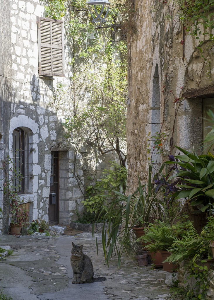 Back lane in Provence