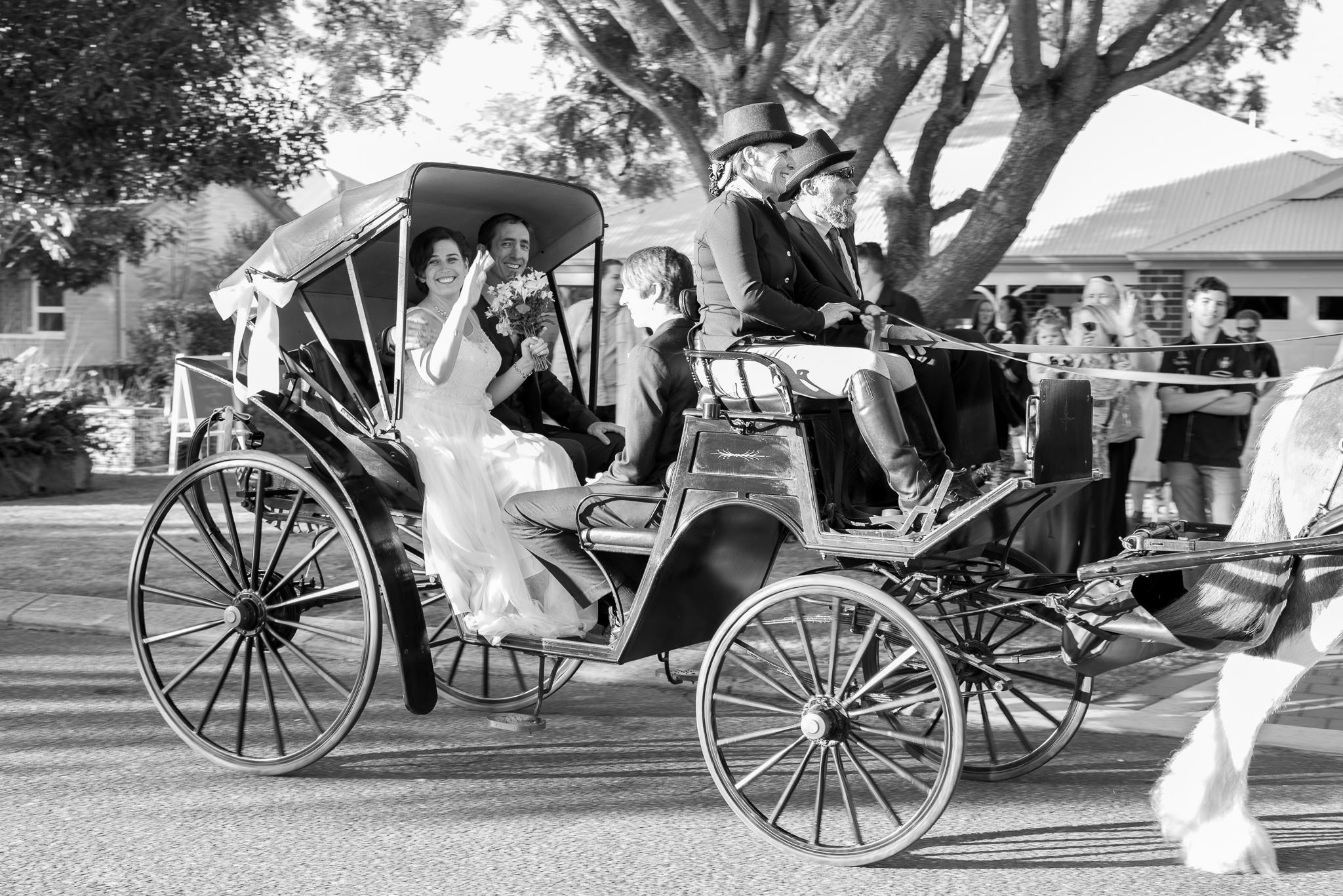 bride and groom and sons wave as they go by in their horse and carriage