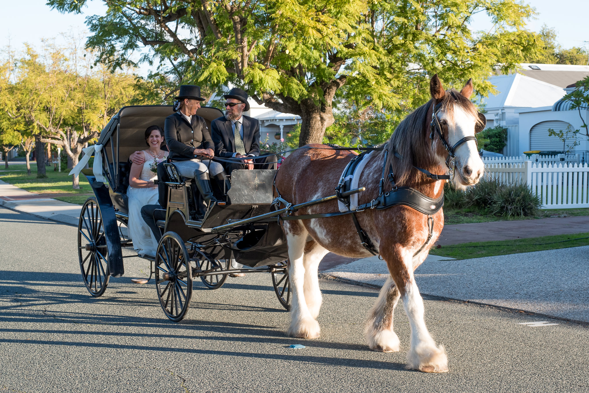 horse and carriage trotting off with bride inside