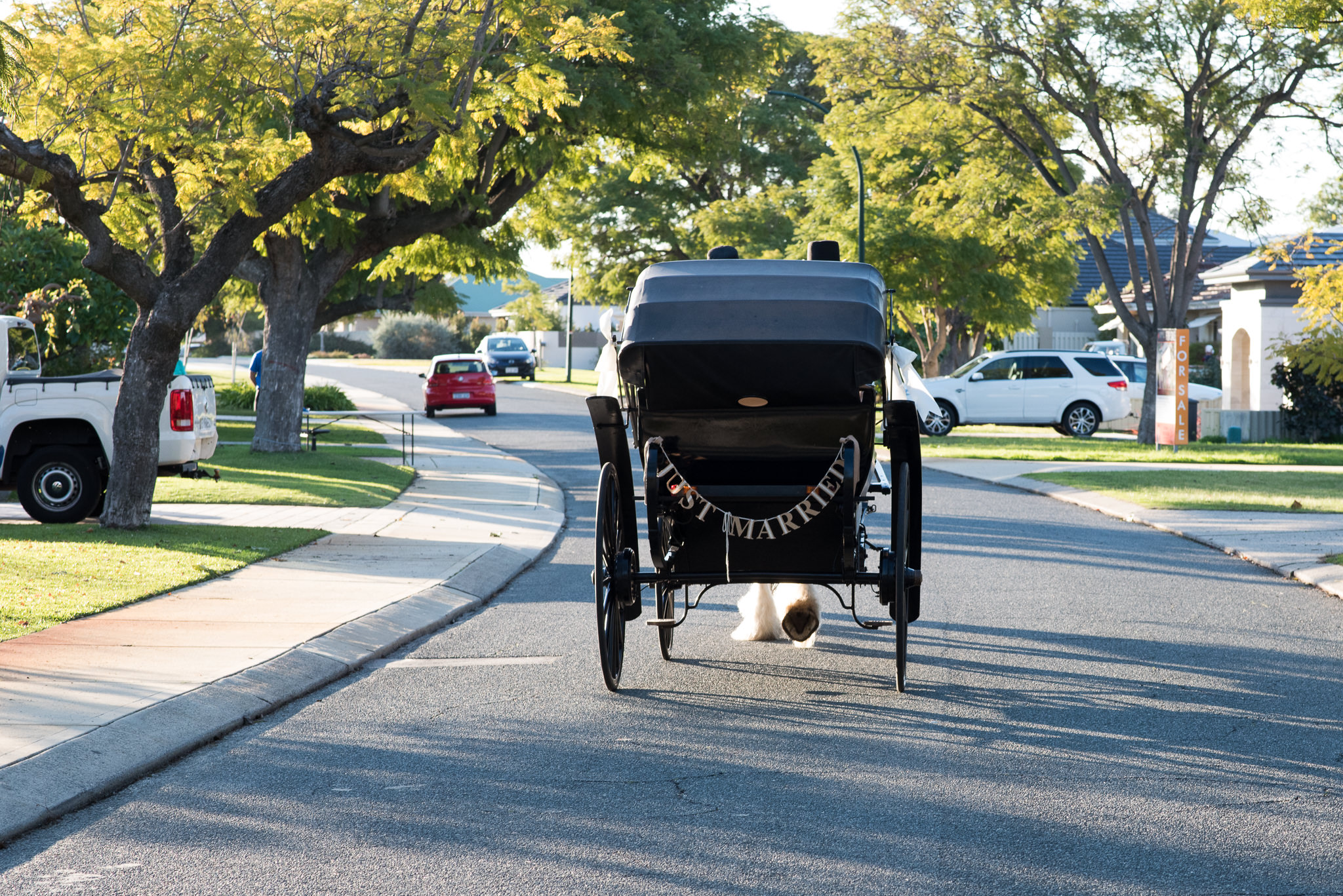 back of a horse and carriage going down the street