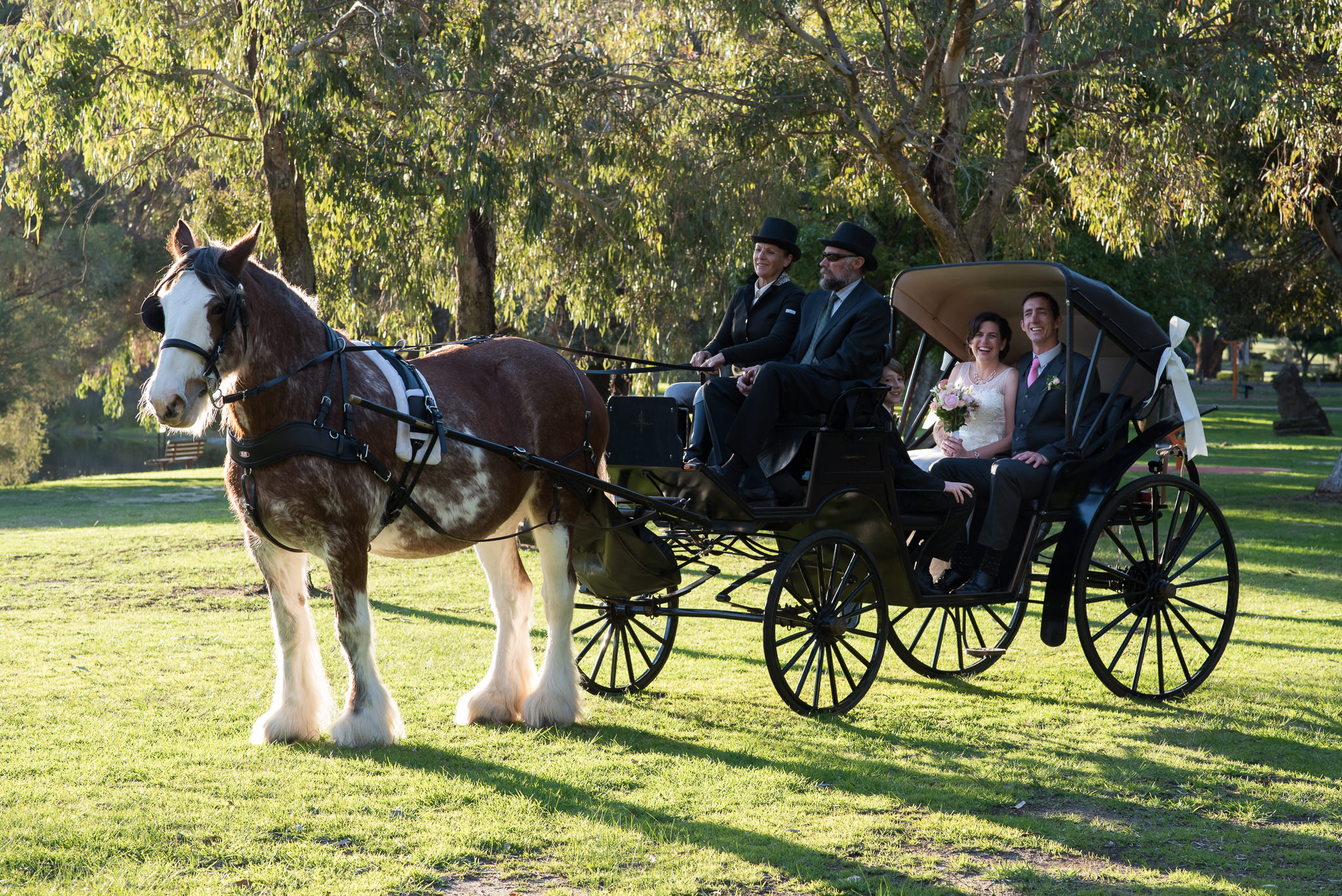 bride and groom are taking a horse and carriage ride