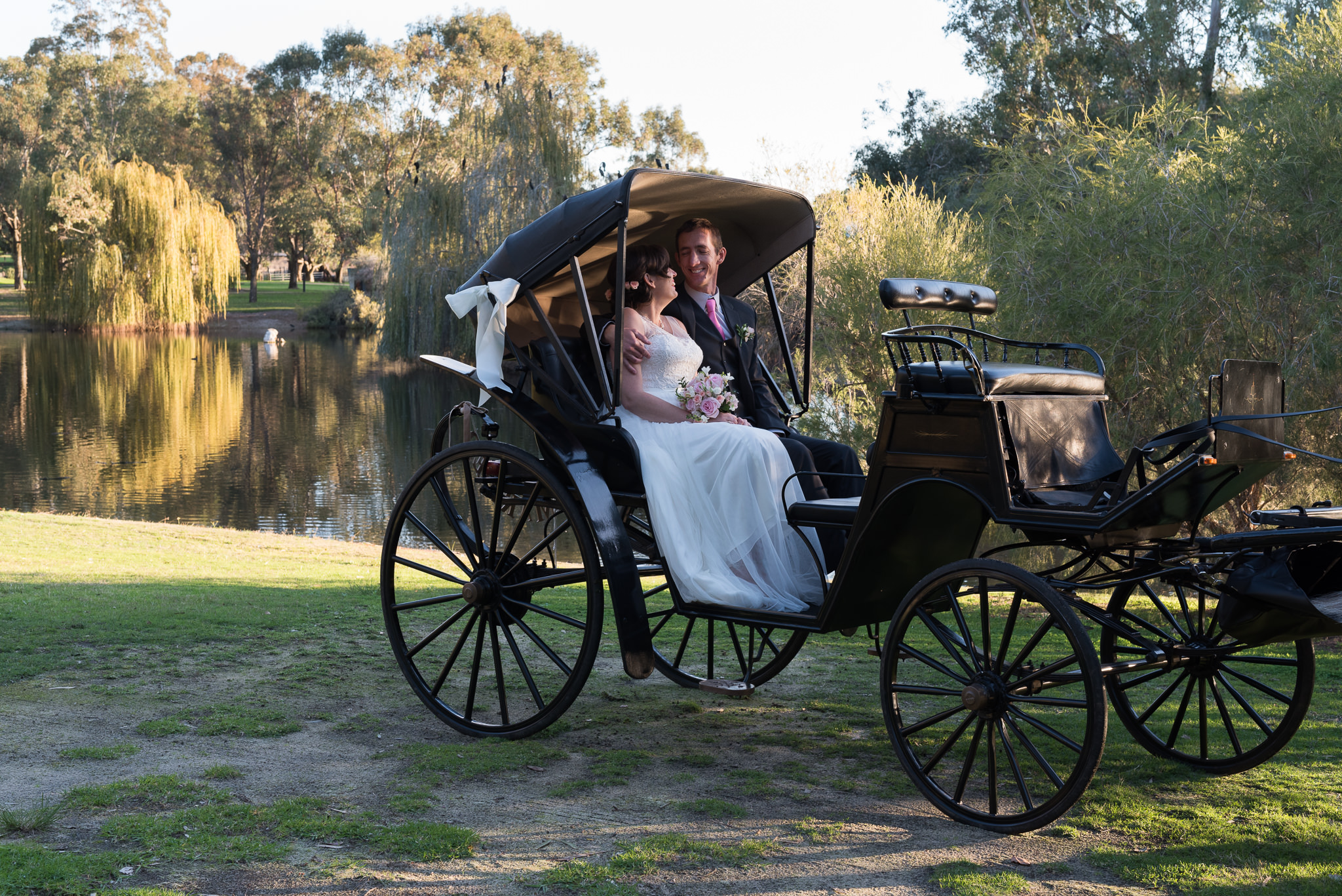 horse buggy next to a lake with bride and groom