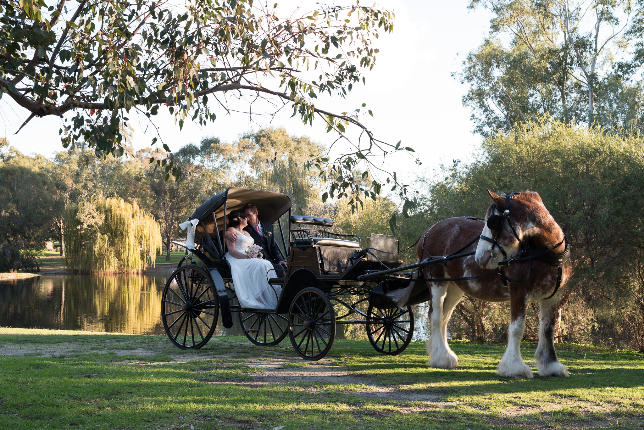 bride and groom look at each other in their horse buggy with the horse looking at them