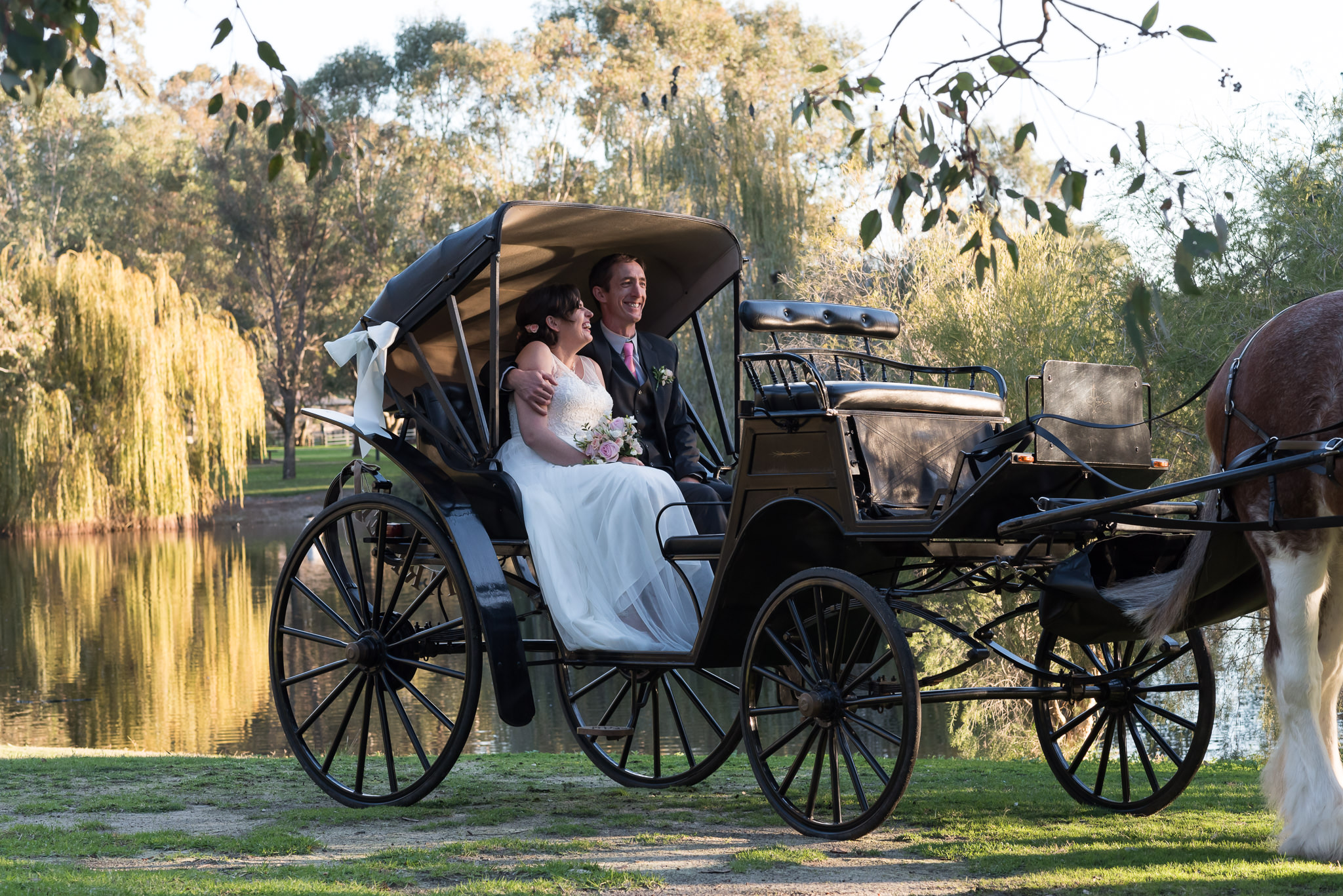 bride and groom sitting in a horse buggy