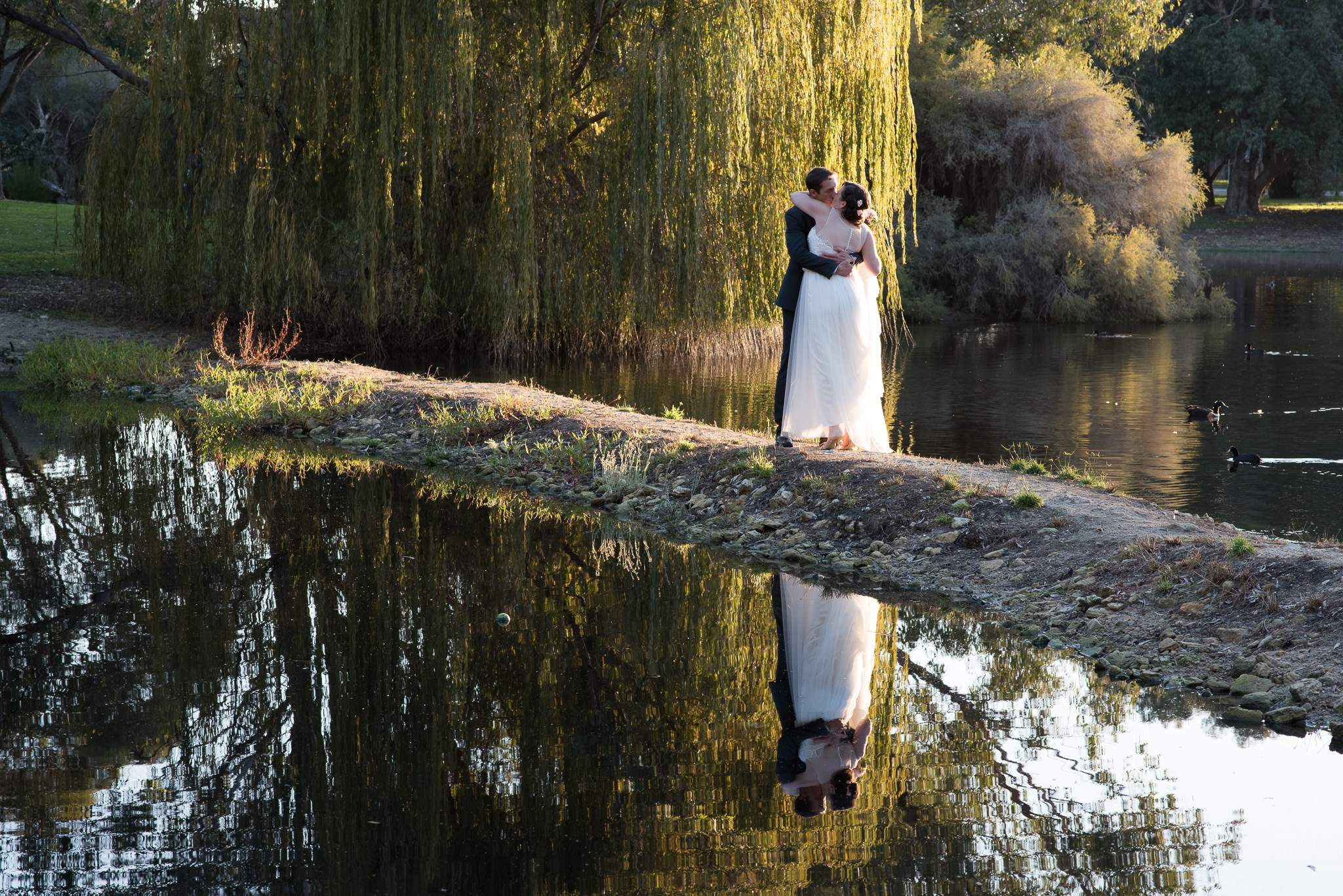 bride and groom kiss near lake with weeping willow and reflections