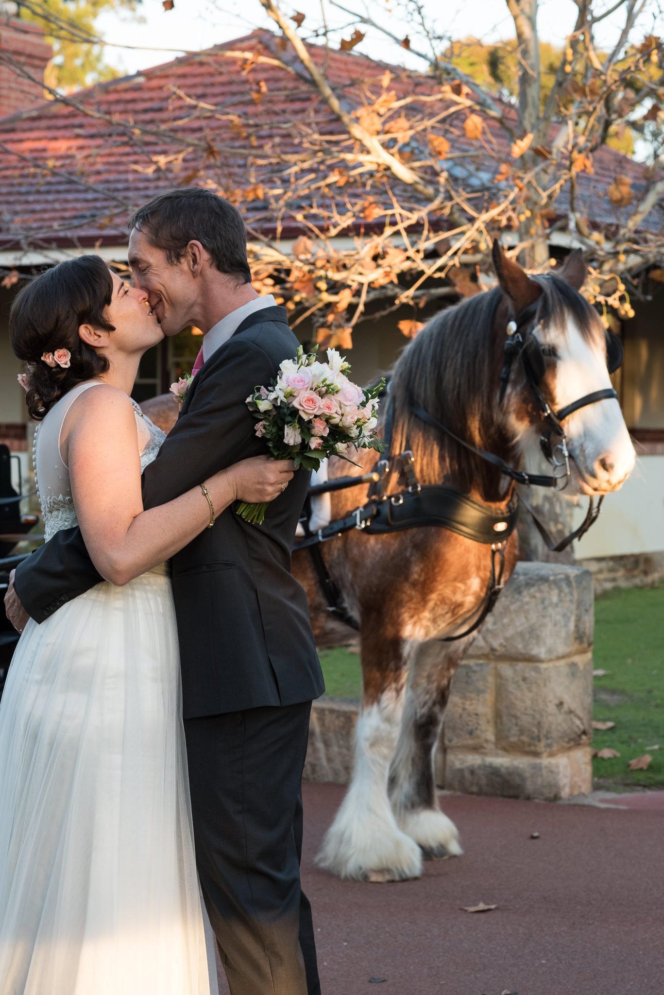 bride and groom kiss with their horse in the background