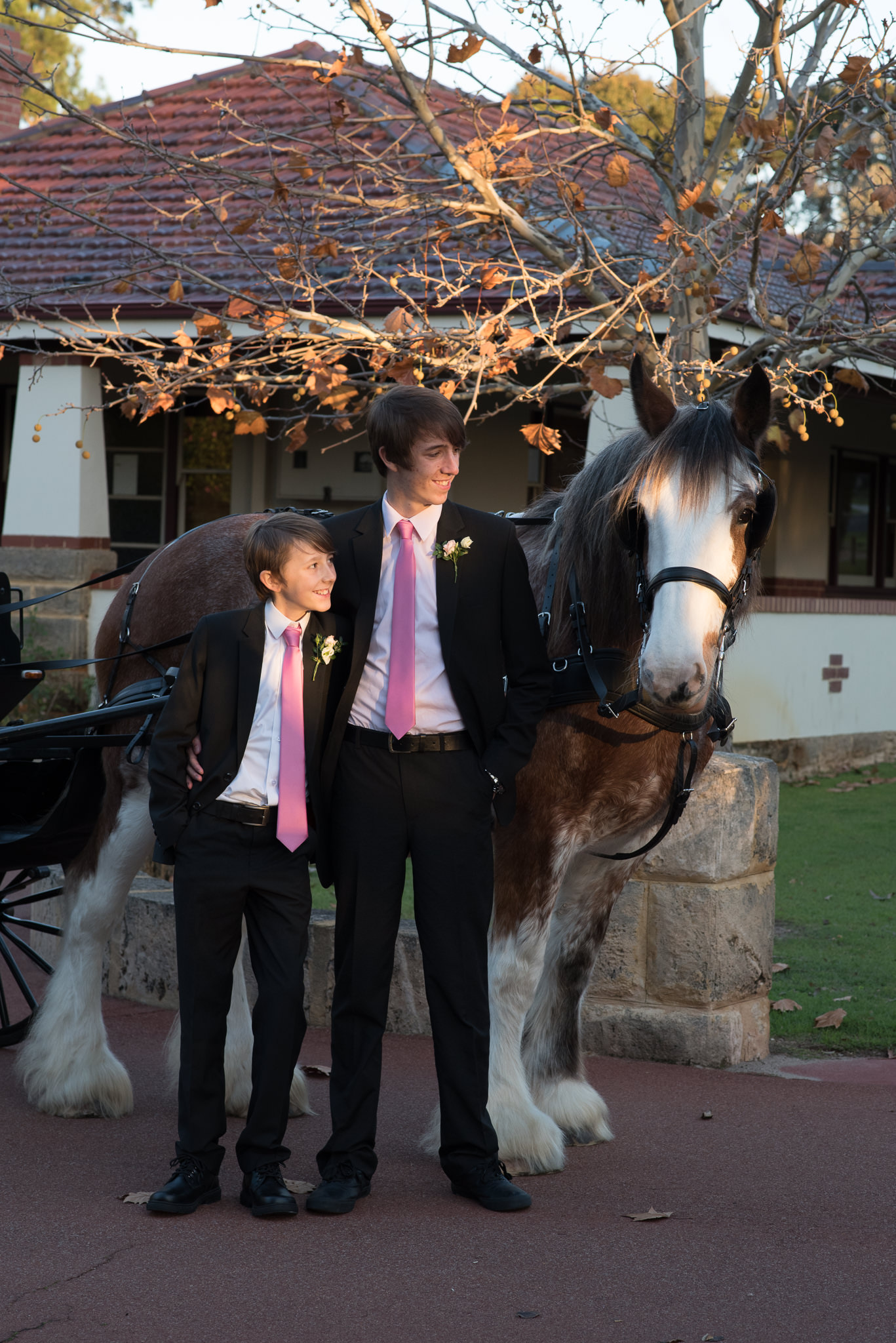 wedding couple's sons look at the horse