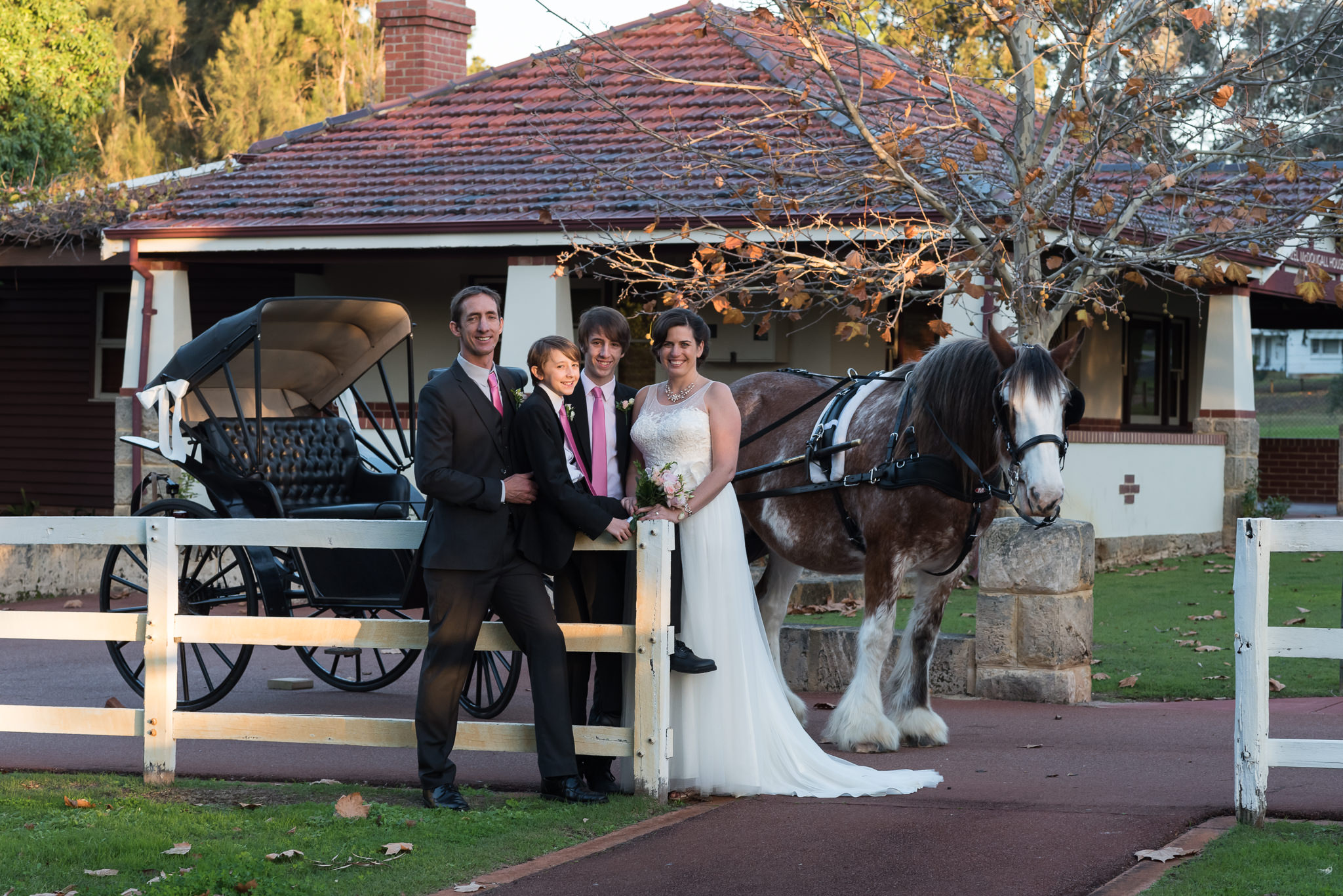 bride and groom and their boys standing with horse and carriage