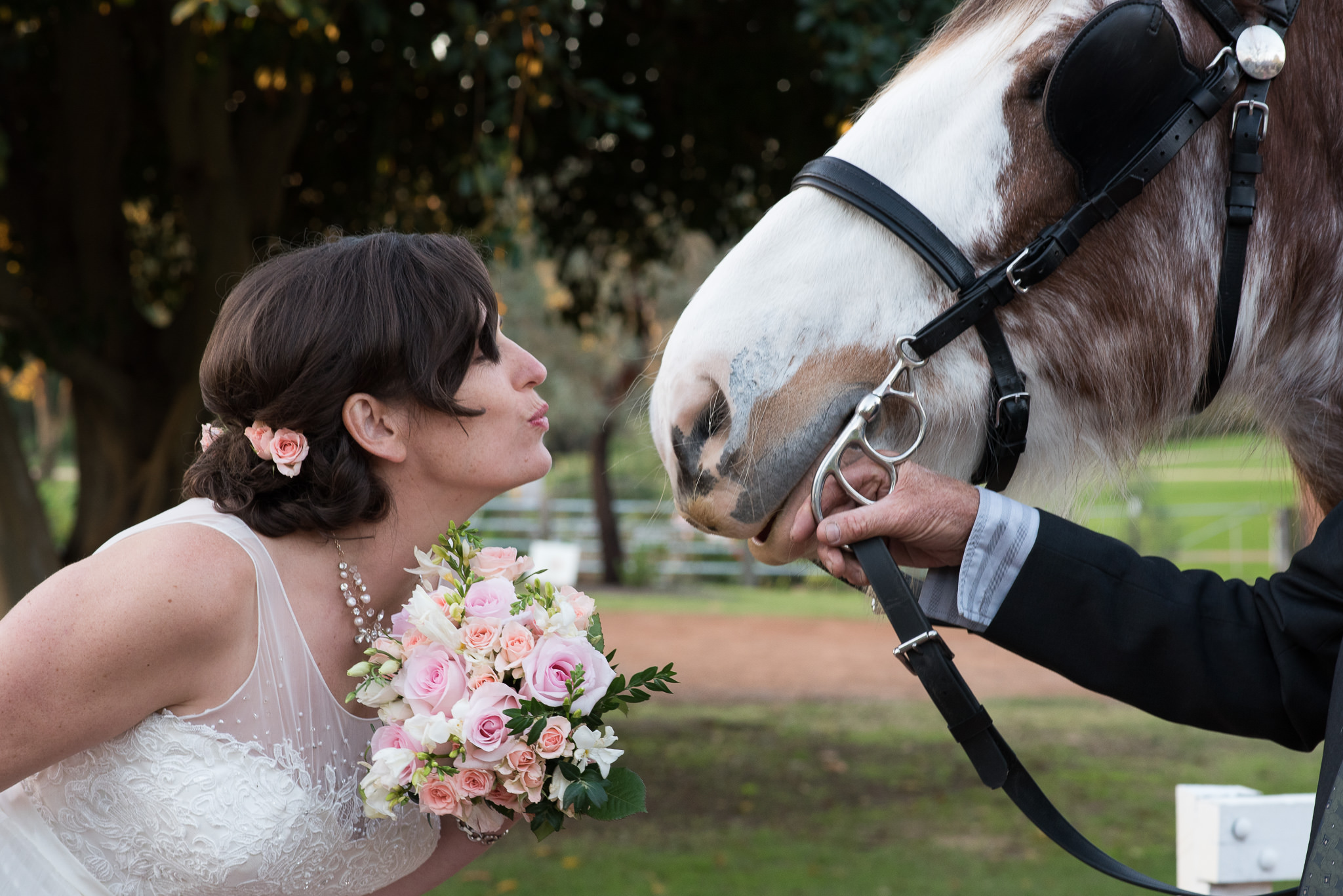 Bride leaning in to kiss a horse's nose