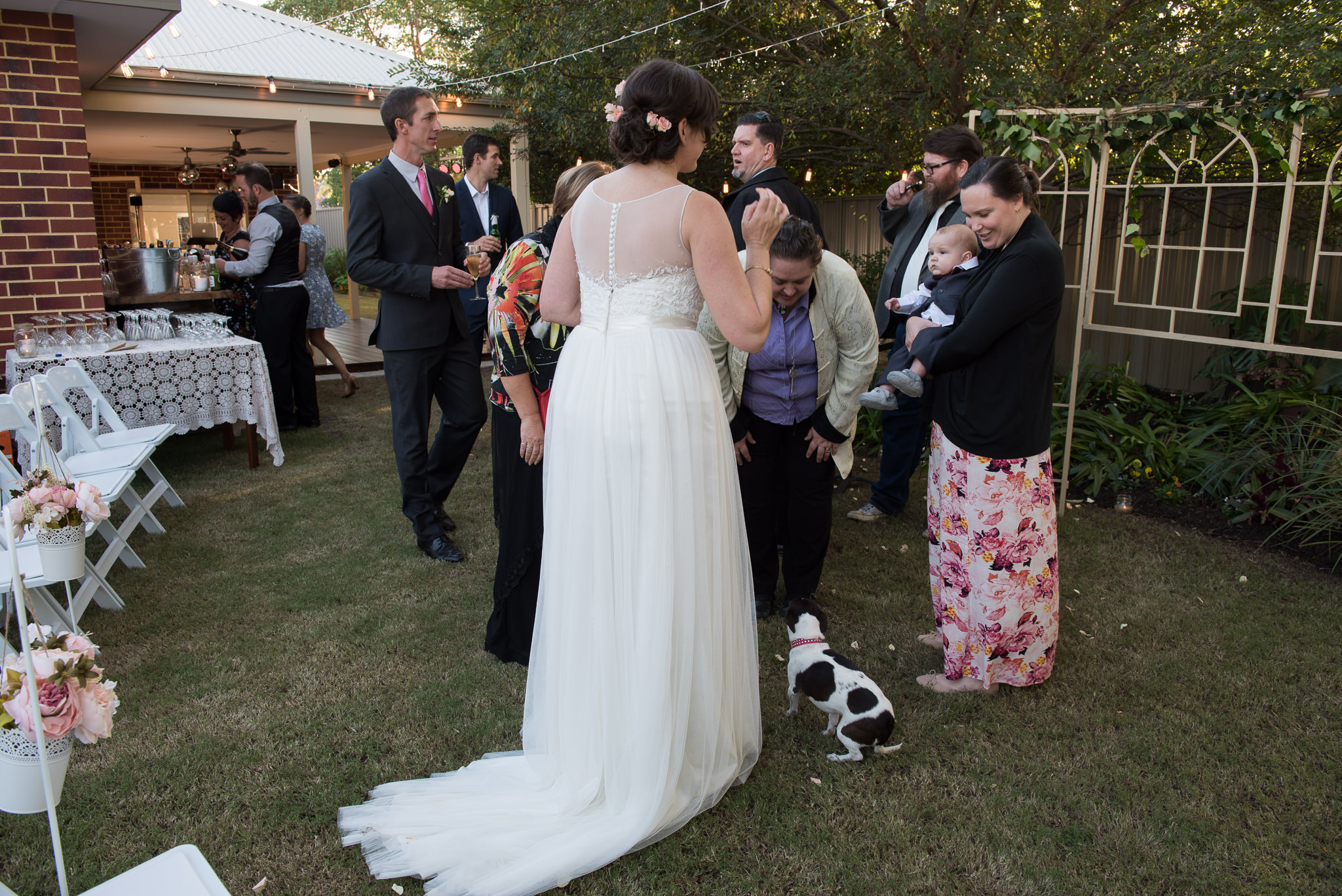 bride mingling with wedding guests in backyard