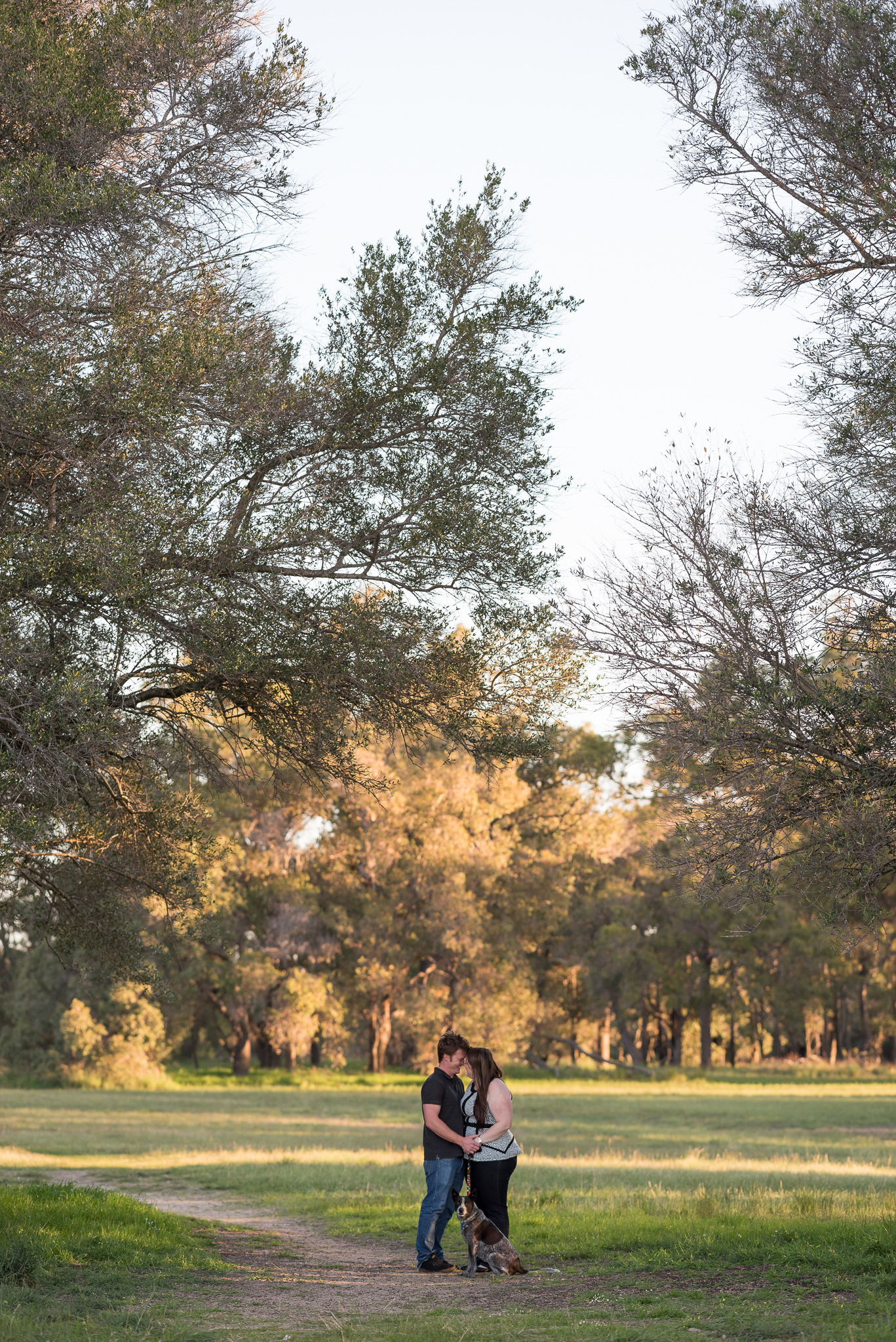 engaged couple with their dog at yellagonga park