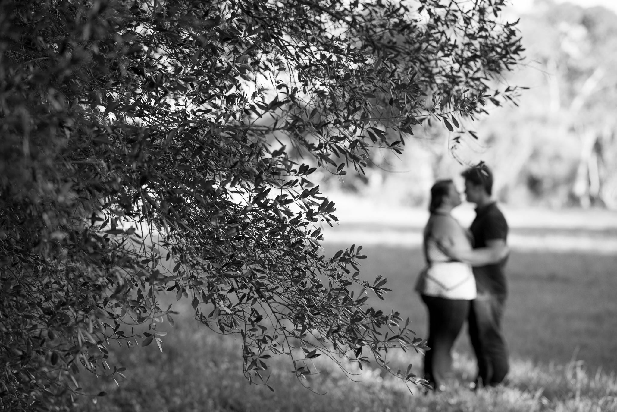 trees in focus, couple are blurry arm in arm