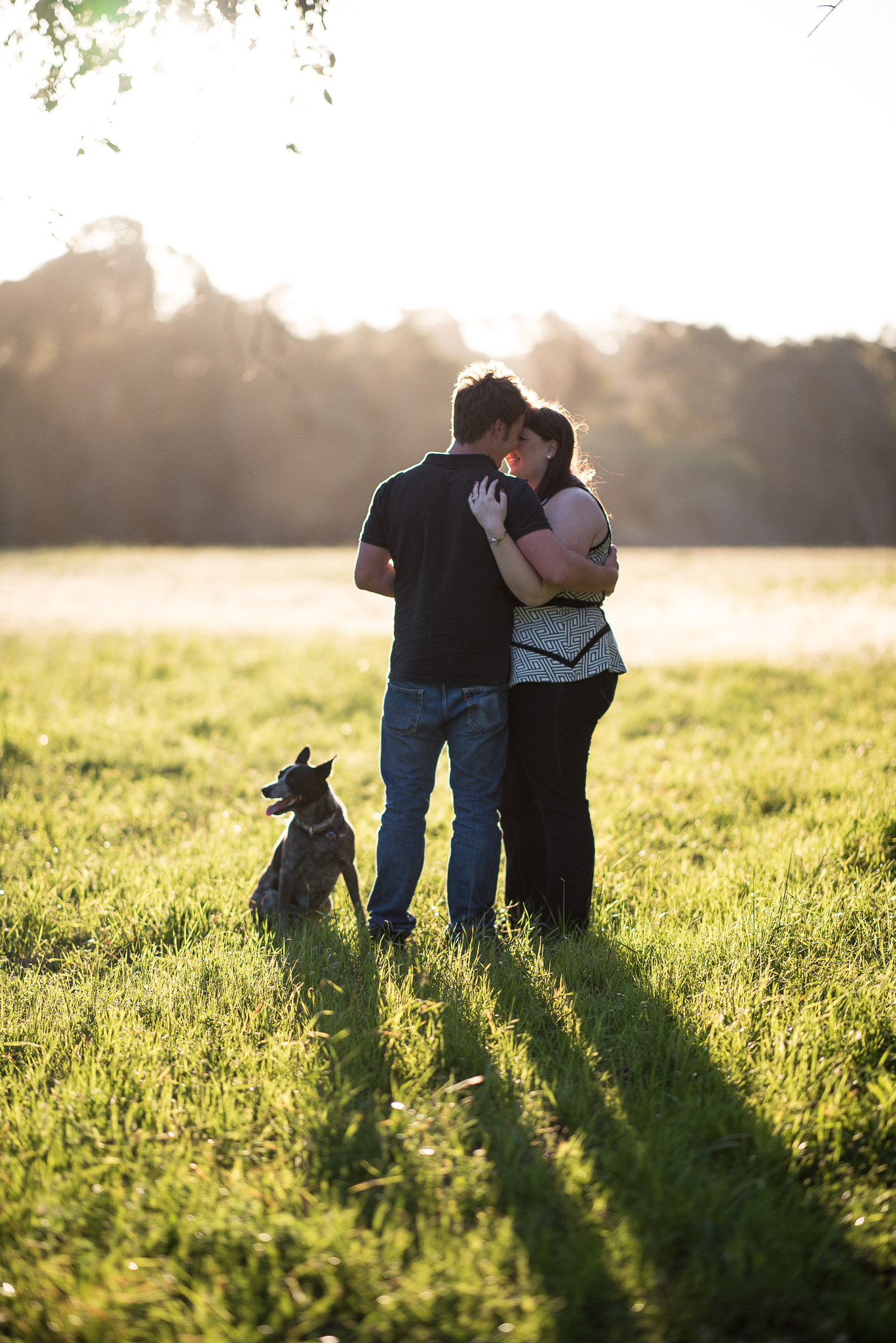 beautiful backlit shot of engaged couple with their dog