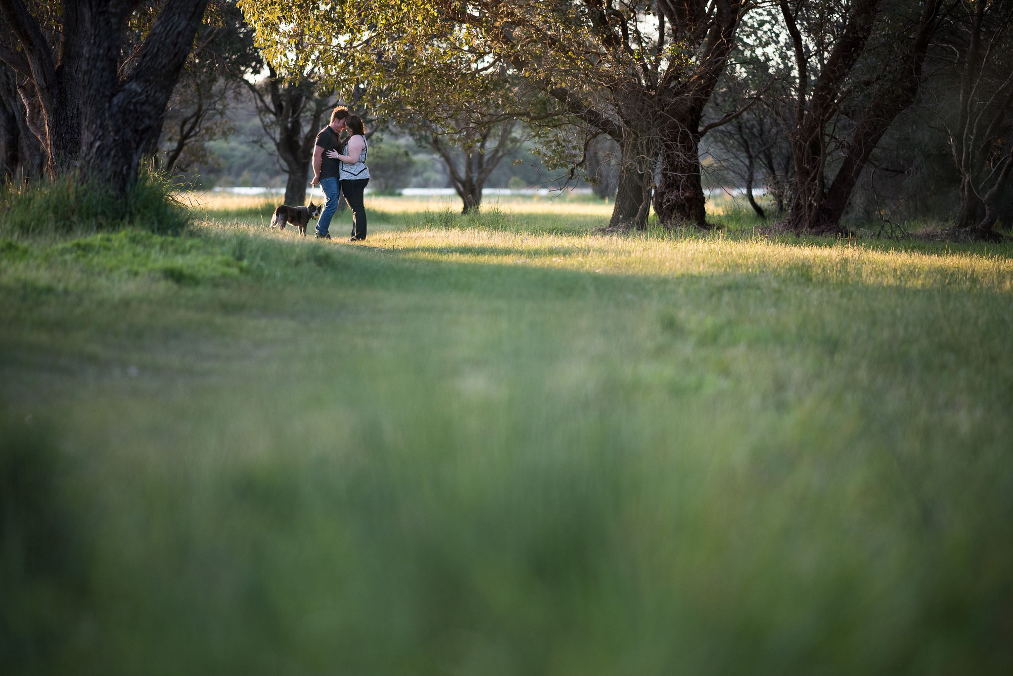 engaged couple at yellagonga park with the foreground grass blurry in the photo