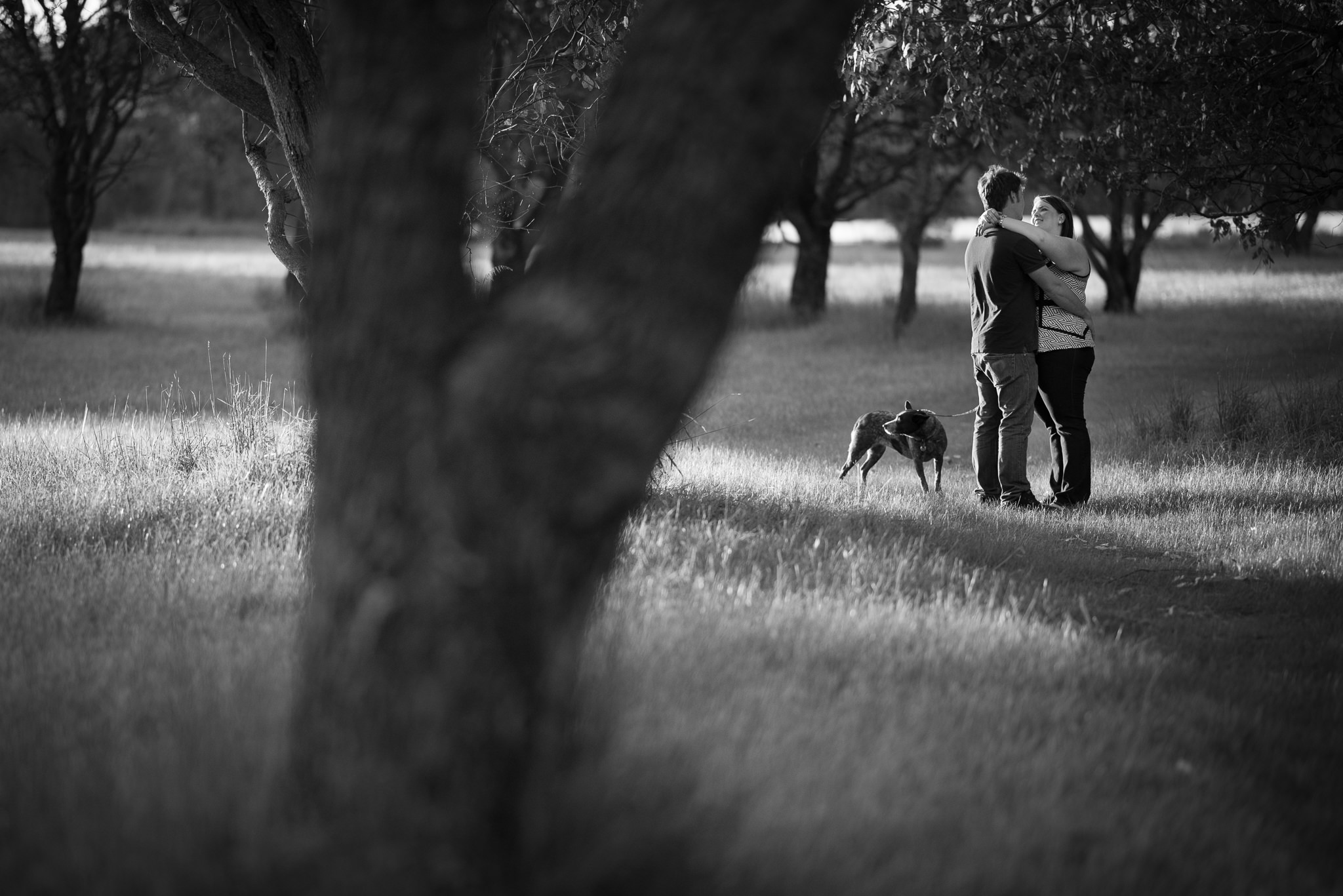 engaged couple walking their dog at yellagonga park perth