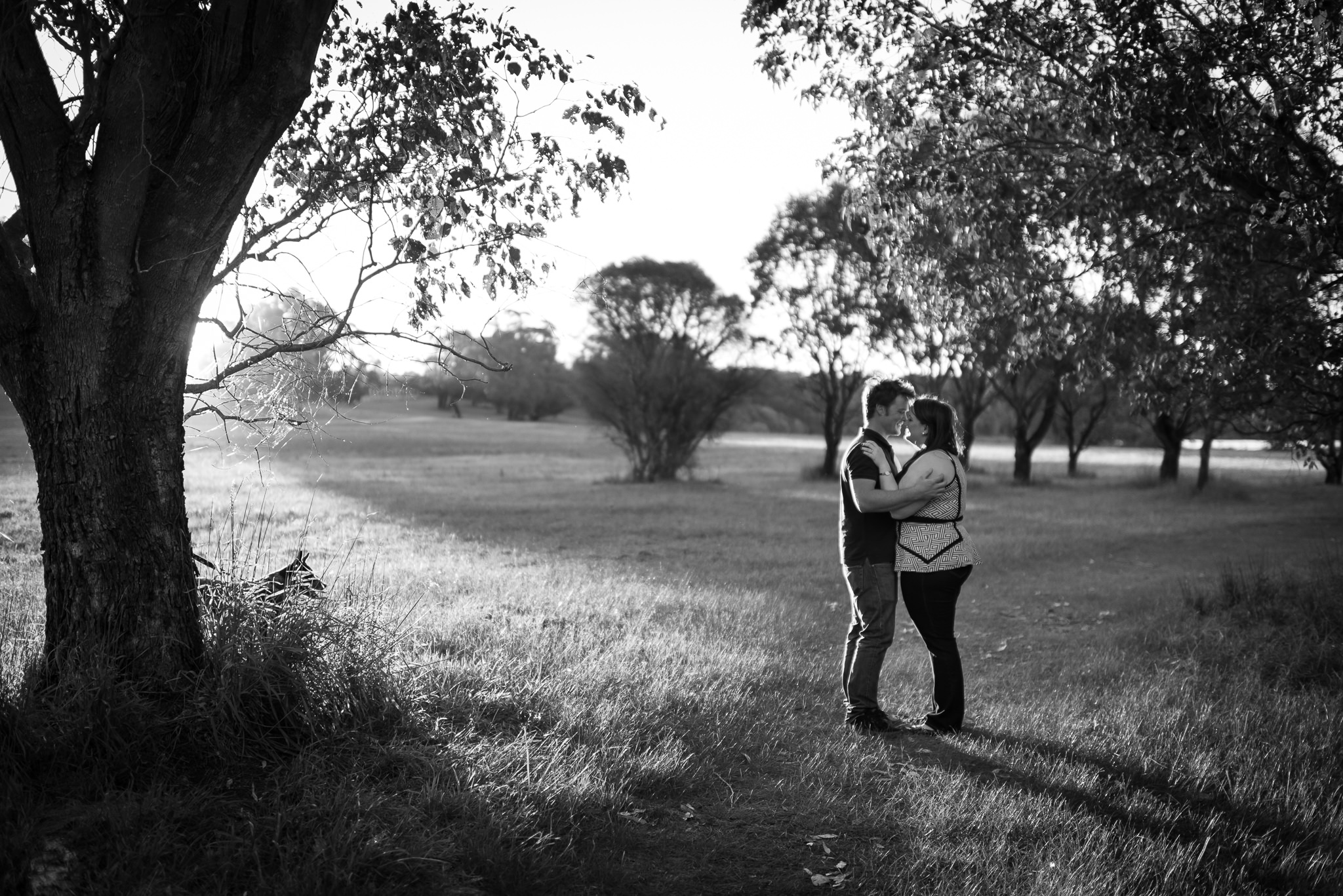 black and white photo of engaged couple at yellagonga park