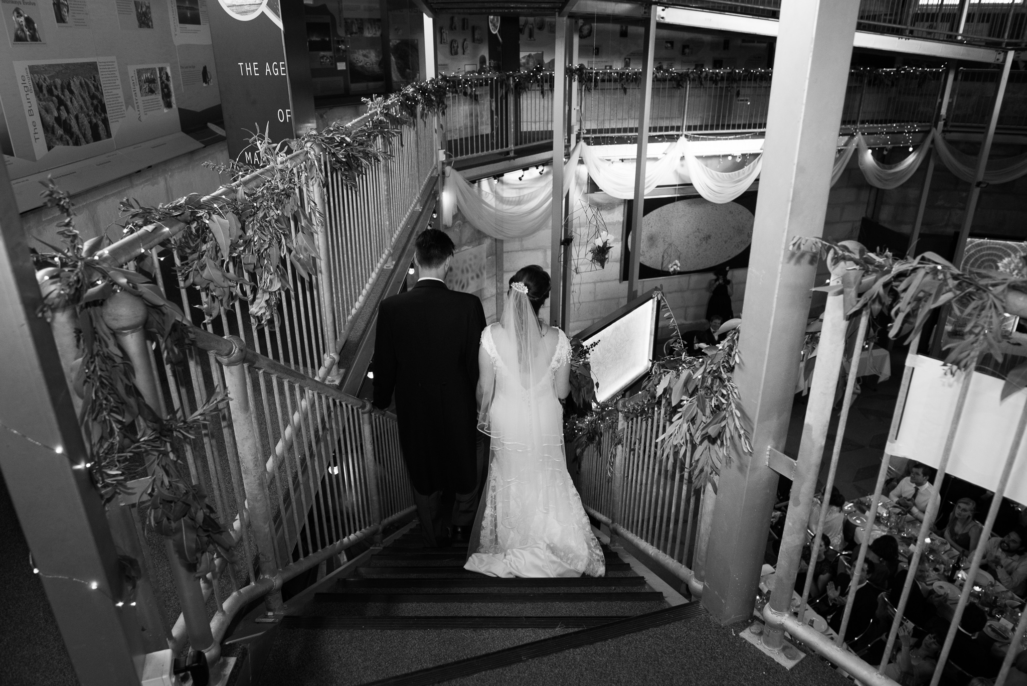 Bride and groom make their entrance down the cosmology gallery stairs to their wedding reception