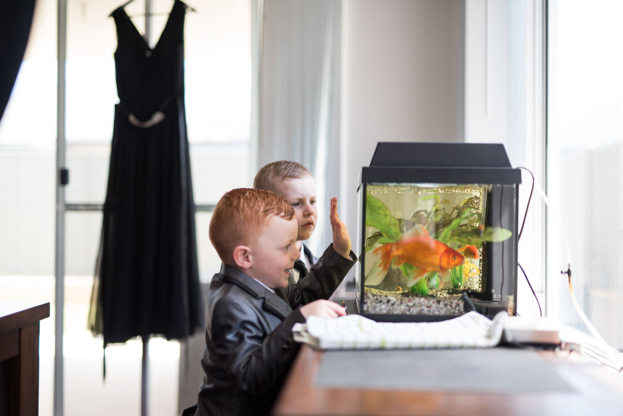 page boys looking at fish in a fish tank