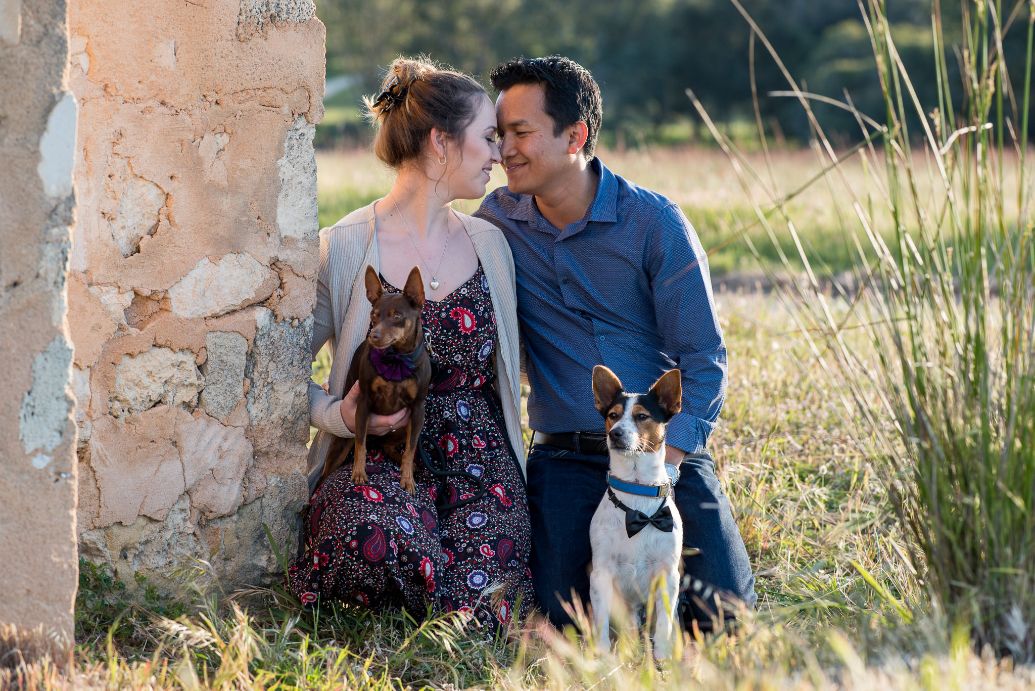 couple pressing noses kneeling near old building at Perry's paddock with their dogs