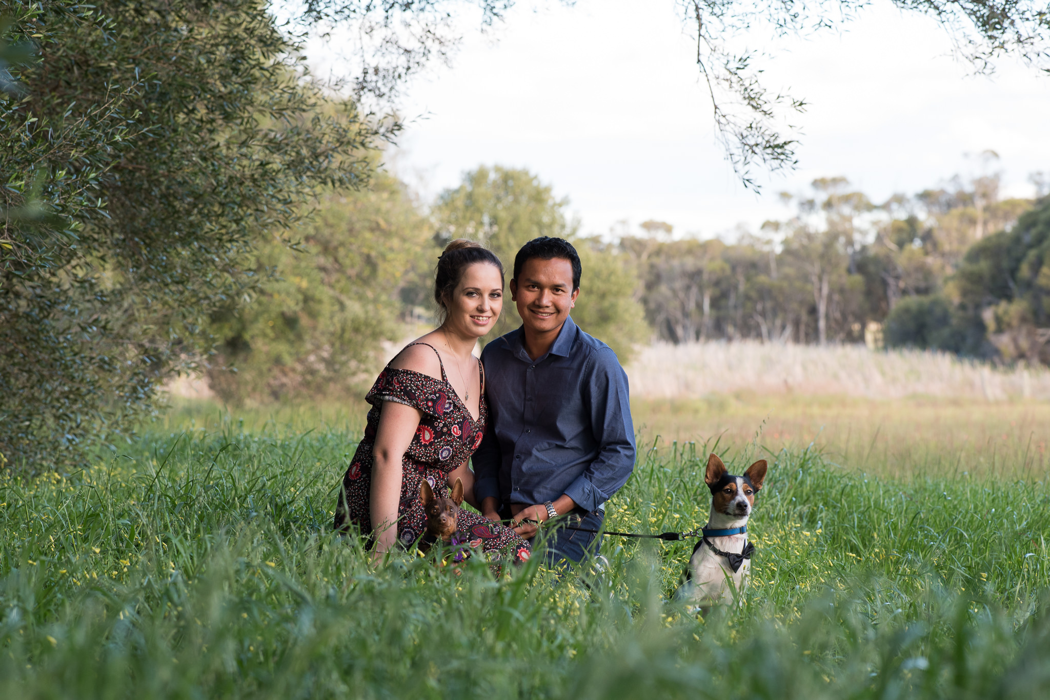 engaged couple sitting in the grass with their dogs