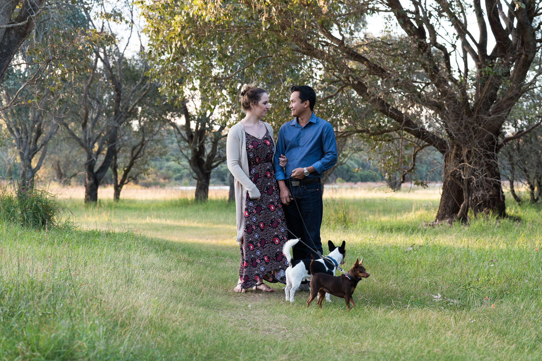 engaged couple walking in field with their dogs