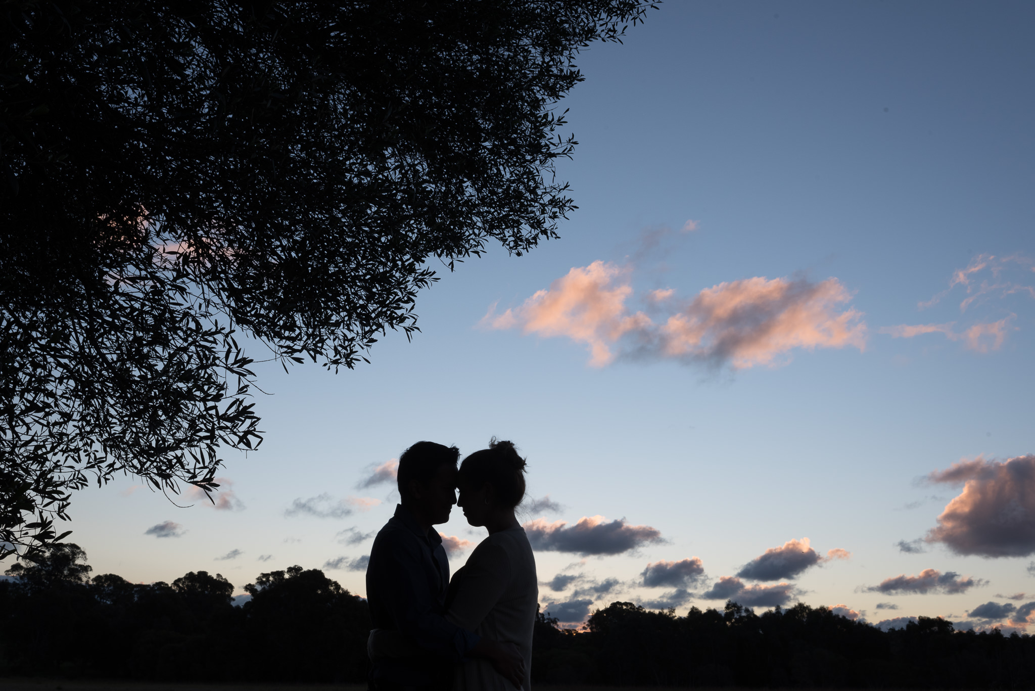 couple silhouette with trees against blue sky