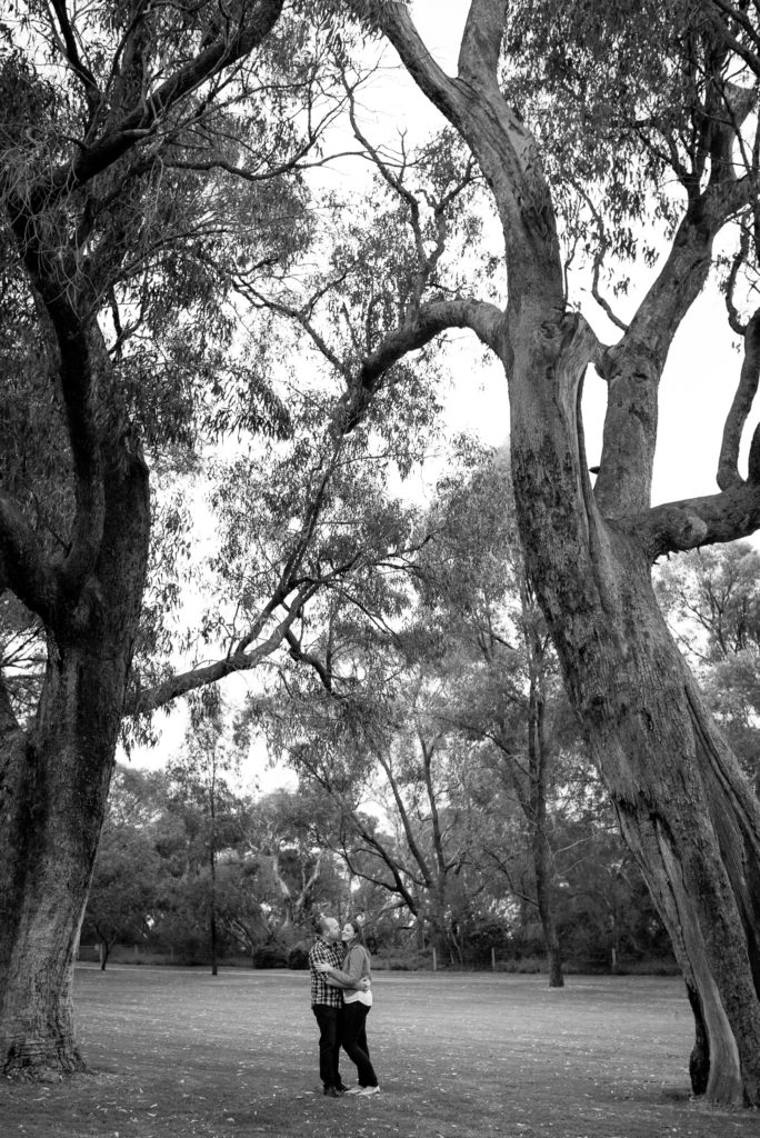 engaged couple cuddling between two large gumtrees