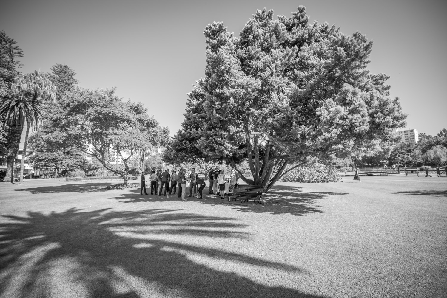 Wedding under the trees at Queens gardens