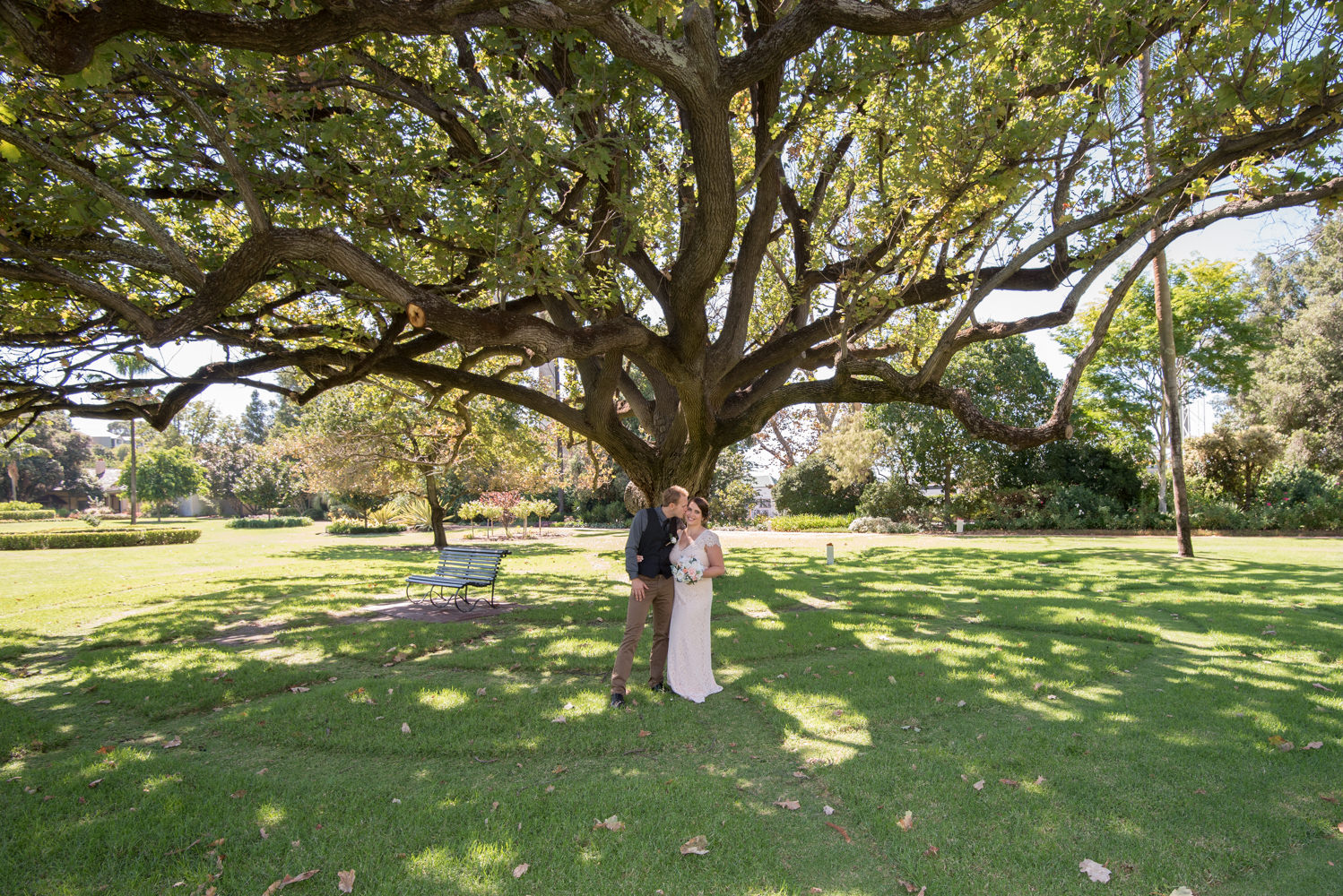 Groom kissing bride under old fig tree