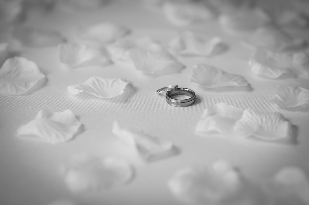 Black and white photo of wedding rings with rose petals